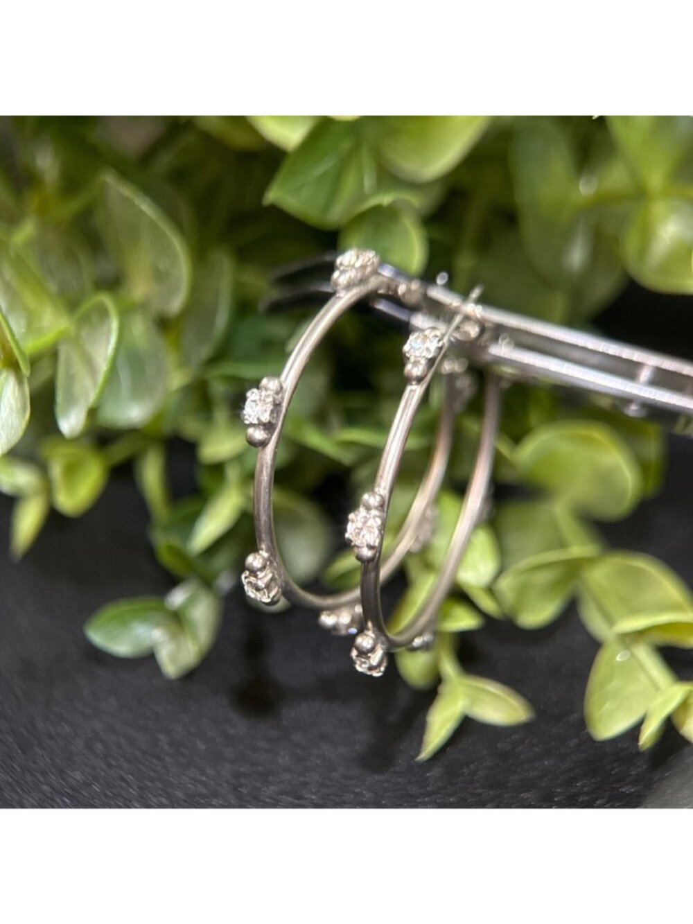 Sorrelli Studded Hoops Earrings - Picture 3 of 7